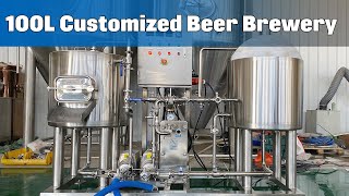 100L customized beer brewing equipment | HULK Brewtech