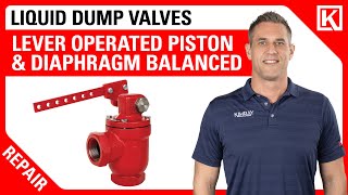 How to Repair a Kimray Lever Operated Piston & Diaphragm Balanced Dump Valve 🔧