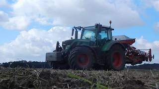 Bezorkowy siew pszenżyta 2017! Fendt Vario 718