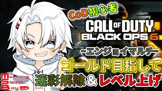 【CoD:BO6】新兵は金迷彩が欲しい🥇AR2本目！【Call of Duty: Black Ops 6/新人Vtuber/朝ねむるくん】