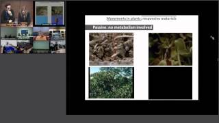 ShanghAI Lectures 2014 – Plant inspired robotics and technologies