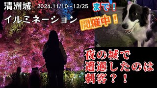 【清洲城イルミネーション】夜の城で遭遇した黒い影は刺客か？！それとも？【2024.11/10〜12/25開催】Vol.97