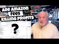 The Truth About Amazon FBA Profit Margins with These High Fees