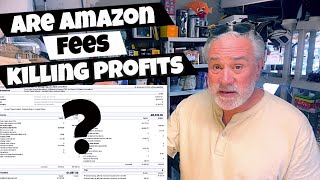 The Truth About Amazon FBA Profit Margins with These High Fees