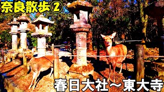 【奈良】正月の奈良散歩② ～春日大社から東大寺まで～   New Year's Walk in Nara 4K