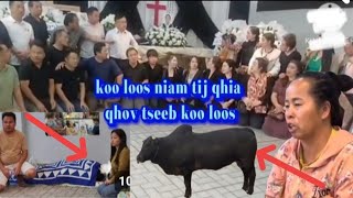 koo loos niam tij qhia qhov tseeb ntawm koo loos txoj kev zoo muaj peev xwm ua tau zoo kawg