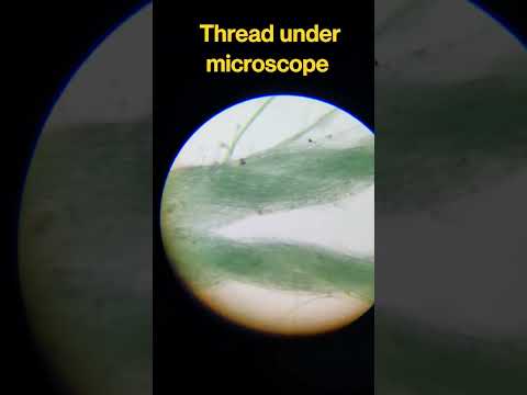 Thread Under Microscope View Ytshorts Short Shorts Shortsfeed Youtube Thread Under Microscope View Ytshorts Short Shorts Shortsfeed Youtube