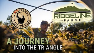 Emerald Legends, a journey into the triangle. Q´s Version - VIDEO 2 - Ridgeline and huckleberry farm