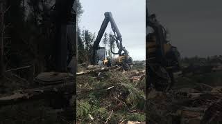 Ponsse Harvester #ponsse #chainsaw #harvesting #wood #powertool #tree #timber #theforest #trees