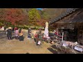 4k 內藏山白羊寺楓景 two story tour