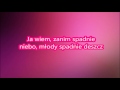 Natalia Szroeder - Zamienię Cię (tekst)