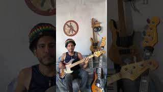 Charlie Brown Jr - Zoio de lula (BASS COVER)