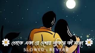 Toke Eka Dakhar Lukiye Ki Moja (Bengali Song)..Lofi remix song...(Slowed and reverb)