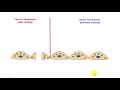 endothelial function in hemostasis