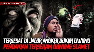 INI SAYA ALAMI SENDIRI ❗❗ TERSESAT DI PENDAKIAN GUNUNG SLAMET VIA DUKUH LIWUNG ❗❗