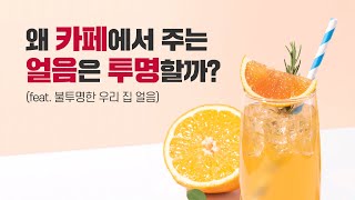 투명한 얼음의 비밀? 왜 카페에서 주는 얼음은 투명할까? 집에서 투명 얼음을 만드는 팁![신비한 과학사전]