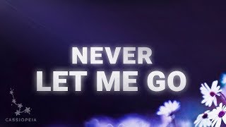 TEFFLER - Never Let Me Go (Lyrics)