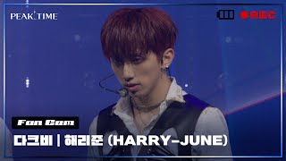 [직캠] #해리준 (HARRY-JUNE) | 다크비 | 파이널 라운드 | Turning Point | PiCK TIME🎥 in PEAK TIME | 피크타임