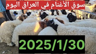 #سوق_الأغنام في العراق سوق محافظة ديالى وسط العراق