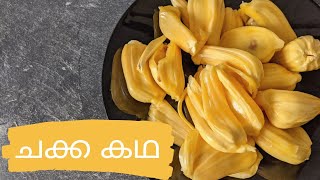 ഒരു ചക്ക കഥ || Jackfruit from Indian store || Germany || Malayalam