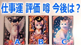 朗報🌟希望🌈タロット占い🔮仕事運　今後の評価　あなたの噂そして未来は？