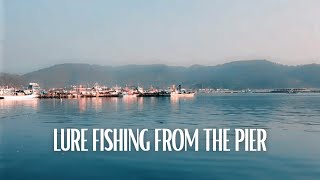 Winter Morning Mackerel Lure Fishing From The Pier