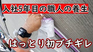 入社５年目の職人の養生をみて叱咤激励していく動画【お知らせあり】