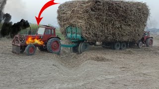 Great and Powerful Belarus Tractors to get sugarcane-filled trailer out of the field || Pendu Life