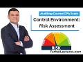 Risk Assessment Internal Control COSO Framework.