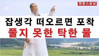 [천공스승님 정법강의] 잡생각 올라와, 눌러놓은 탁한물 처리 기회