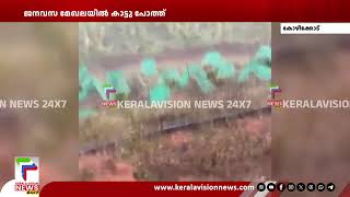 താമരശ്ശേരി ജനവസ മേഖലയിൽ കാട്ടു പോത്തിറങ്ങി | Kozhikod |