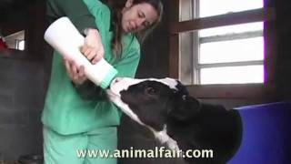 Farm Sanctuary's 25th Anniversary Gala!