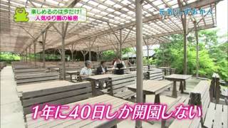 元気！しずおか人　2015/6/7放送