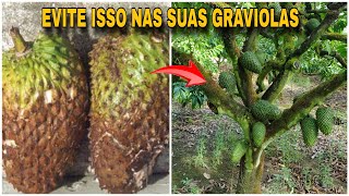 MORRIA E NÃO SABIA: Como ACABAR COM A Podridão  NAS FRUTAS DE GRAVIOLA