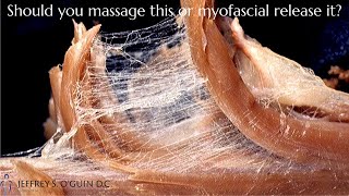 Myofascial release vs. massage [Chiropractor explains fascia]