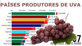 Maiores Países Produtores de UVA no mundo