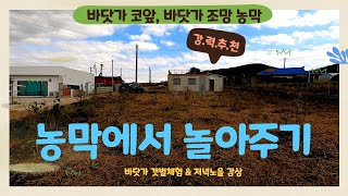 (매물133)  태안 바닷가앞 저렴한 농막