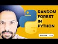 How to Build a Random Forest Classifier That Actually Works