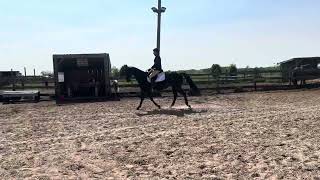 Morrigan Reilly and Halla English Pleasure