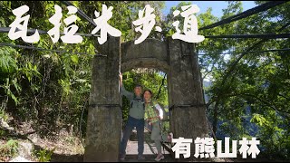 瓦拉米步道【登山口 佳心】︱走進黑熊的家︱ 4K  攝影范達榕  2023 07 22