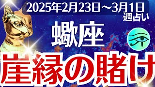 【蠍座】2025年2月23日(日)～3月1日(土)のさそり座の運勢