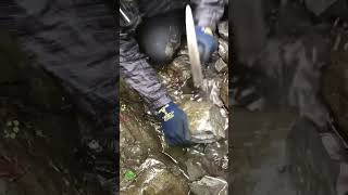 Fossils stuck in rock #fossils #rock #hunting #ammonites #shorts