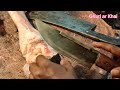 গরুর পায়া কাটিং cutting cow leg ghuri ar khai