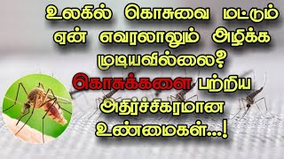 உலகில் கொடிய உயிரினம் என்றால் அது கொசுத்தான் உங்களால் நம்ப முடியுமா???