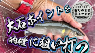 【鮎釣り】2023/8/31  狙って誘って掛ける