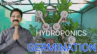 Hydroponic Germination of seeds