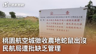 桃園航空城徵收農地蛇鼠出沒 民航局遭批缺乏管理｜20240616 公視中晝新聞