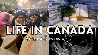 Pregnancy Update | Bringing in the New Year | Mini Making our House a Home