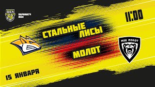 15.01.2022. «Стальные Лисы» – МХК «Молот» | (Париматч МХЛ 21/22) – Прямая трансляция