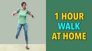 Walk 1 Hour a Day – Walk at Home Every Day